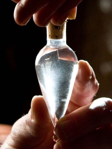 Soubor:Felix felicis.jpg