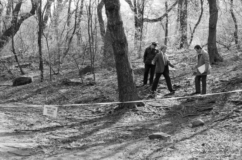 Soubor:Centralpark crimscene.jpg